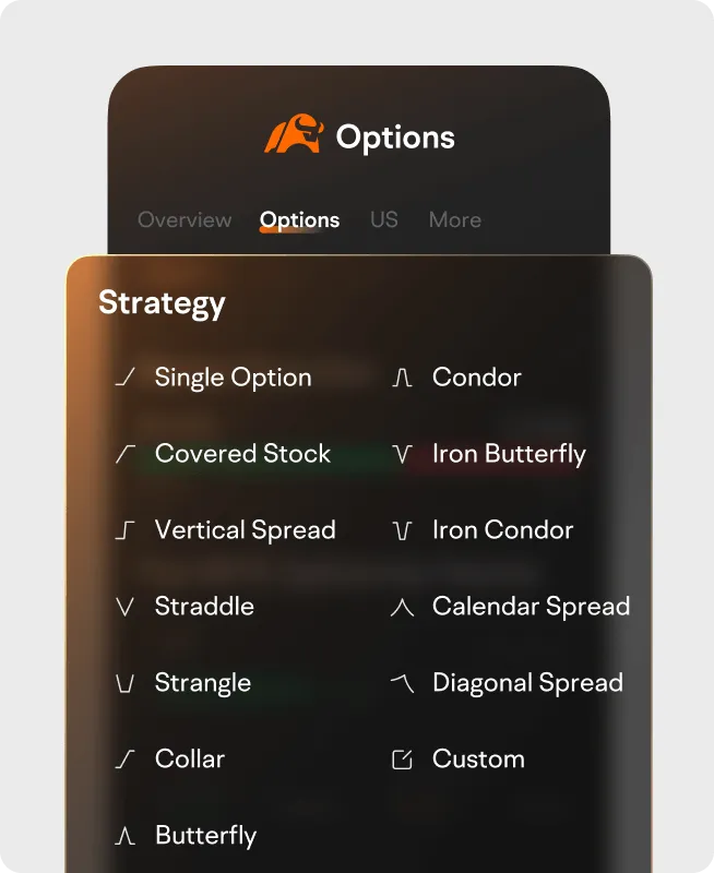 Customized 13 option strategies